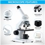 AmScope 40X-1000X Microscope à composés biologiques avec Diapositives préparées et Vierges pour étudiants et Enfants