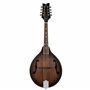 Ortega Guitars Bluegrass Mandoline de style A – Série Americana – Épicéa et érable avec finition satinée à whisky (RMA30-WB)