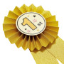 Paquet de 24 Rubans - Décorations de Participation, Rubans Rosette, récompenses de 1re, 2e et 3e Places pour Les orthographes, f
