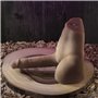 Gode réaliste Evolved ABS TPR Ø 4,5 cm (17,8 cm)