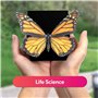 Merge Cube - Enseignement Pratique des Sciences - Aides pédagogiques numériques - Simulations et projets scientifiques - École à
