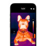 Seek Thermal - Caméra thermique Nano 200 pour Apple iOS avec connecteur USB-C, caméra thermique pour iPhone, imageur thermique h