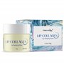 Tobcharm Masque de Nuit Réparateur pour Lèvres | Baume Intense Hydratant Anti-Rides | Enrichi en Acide Hyaluronique & Complexe P