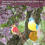 Lot de 12 Oiseaux Artificiels Multicolores sur Pinces