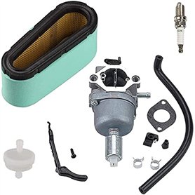 Carburateur pour Briggs et Stratton 791886 495935 690194 498061 499153 287707 28777 28N707 28N777 28P777 28Q77 14 CV 15 CV 15 6
