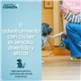 Harnais pour Chien Coachi