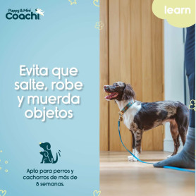 Harnais pour Chien Coachi