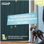 Harnais pour Chien Coachi