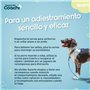 Harnais pour Chien Coachi