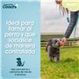 Harnais pour Chien Coachi