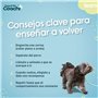 Harnais pour Chien Coachi