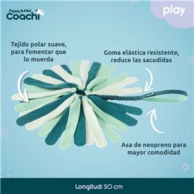 Harnais pour Chien Coachi