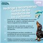 Harnais pour Chien Coachi