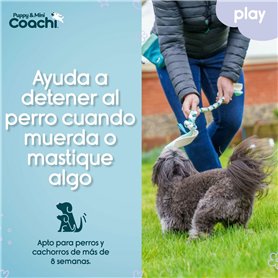 Harnais pour Chien Coachi