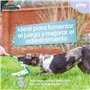 Harnais pour Chien Coachi