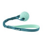 Harnais pour Chien Coachi