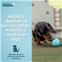 Harnais pour Chien Coachi