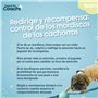 Harnais pour Chien Coachi