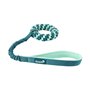 Harnais pour Chien Coachi