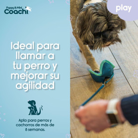 Harnais pour Chien Coachi