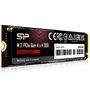 Silicon Power SP250GBP44UD90 NVMe 4.0 Gen4 PCIe M.2 SSD R/W jusqu'à 5 000/3 850 Mo/s (SP250GBP44UD9005) 250 Go