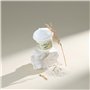 SKIN FOOD since 1957 Masque Riz 120g- Gommage exfoliant au riz blanc Masques pour le visage à laver pour peau foncée- Nettoyant 