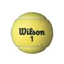 Wilson Championship All Court Lot de 72 balles de tennis en carton avec 18 boîtes de balles de tennis avec 4 balles de tennis Wi