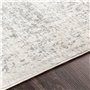Livabliss Syracusa Tapis Vintage - Tapis de Salon, Salle à Manger, Chambre, Cuisine - Boheme Chic, Design Traditionnel Oriental 