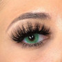 MYSALENS® Lentilles De Contact De Couleur Hidrocor Emerald Emeraude Naturelle très haute opacité Kit De Rangement Boitier Pince 