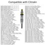 Twowinds - Bougie de Préchauffage Compatible avec BMW E30 E30 E28, Citroen Berlingo C15 C25 CX Xsara, Peugeot 205 306 406-025020