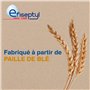 Efiseptyl - Porte-Fil Dentaire - À Partir de Paille de Blé - Goût Menthe - Facile à Insérer - Sachet Refermable - x48