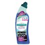 Sanytol Gel WC Désinfectant Surpuissant 750 ml Lot de 3