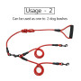 Laisses Doubles en Nylon Double Chien Lumineux Amovible Laisse d'ent