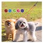 Corde à Glisser for Animaux de Compagnie, Laisse for Chien, Laisses Doubles en Nylon Double Chien Lumineux Amovible Laisse d'ent