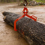 Oxeo Pince forestière capacité 1000 kg - pour Troncs Max. 700 mm - Pince de Levage 2 mandrins de Serrage - Force 1 Tonne - poign