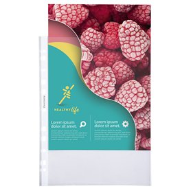 Exacompta - Réf. 5760E - Sachet de 100 pochettes perforées en Polypropylène grainé - Epaisseur 7/100ème qualité supérieure - Per