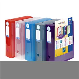 Viquel - Lot de 6 boites de classement en plastique personnalisable - Lot 6 boites à archive grande capacité - Boites de rangeme