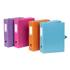Viquel - Lot de 6 boites de classement en plastique - Lot 6 boites à archive fermeture bouton pression - Boites de rangement ass