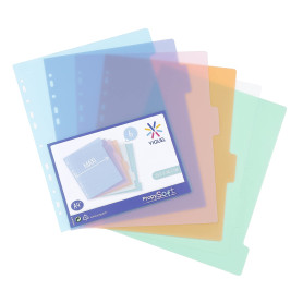 Viquel - Lot de 6 intercalaires en plastique - Maxi format (24