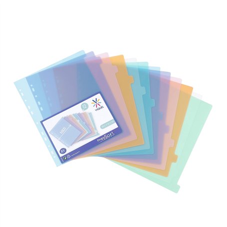 Viquel - Lot de 12 intercalaires en plastique - Maxi format (24