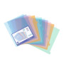 Viquel - Lot de 12 intercalaires en plastique - Maxi format (24