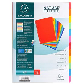Exacompta - Réf. 99H - Carton de 25 Intercalaires en véritable carte lustrée rigide 400g/m2 FSC® avec 12 onglets neutres - Page
