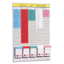 Fiches T Multicolores Incluses