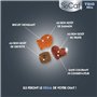 Truite) - Biscuit Croquant -