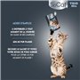RIGA - SoCat Trio Mix - Friandises pour Chat - Assortiment Aux Saveurs De La Mer (Saumon, Crevette, Truite) - Biscuit Croquant -