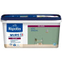 Déco murs boiseries & radiateurs vert simsun velours - RIPOLIN - 2