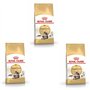 Royal Canin Maine Coon Adult | Pack 3 | 3 x 400 g | Aliments secs pour Chats | Adapté aux Besoins des Chats Maine Coon | pour So