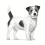 Royal Canin Pill Assist Small Dog | 90 g | Croquette malléable pour l'administration de médicaments chez les chiens adultes de p