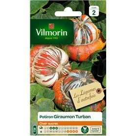 Vilmorin 3489042 Pack de Graines Potiron Giraumon Turban