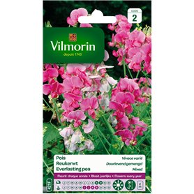 Vilmorin 5630142 Pois vivace varie Multicolore 9 x 0